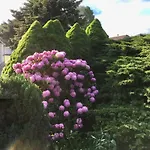 Schmidt Casa vacanze Storkow (Mark)