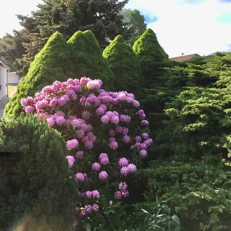 Schmidt بيت للعطل شتوركو