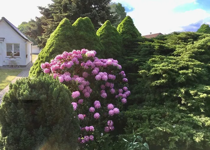 Schmidt Holiday home Storkow (Mark)